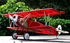 Fokker DVII 36" Gary Ritchie