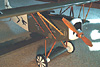 Fokker DVII 36" David Jenista