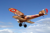 Nieuport 28  36"   Gary Ritchie